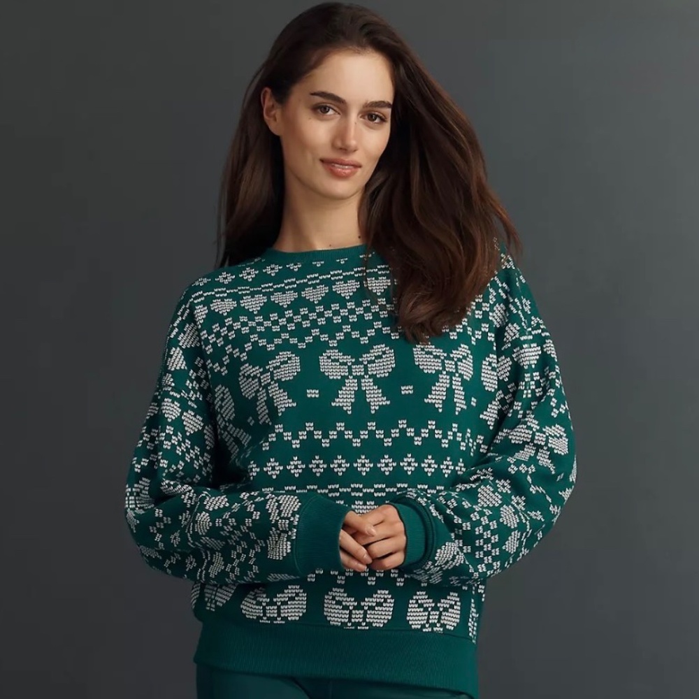 NWT Anthropologie Beach Riot Devyn Alpine Crewneck Sweater Sweatshirt